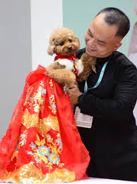 Khách hàng Kim Ngân
