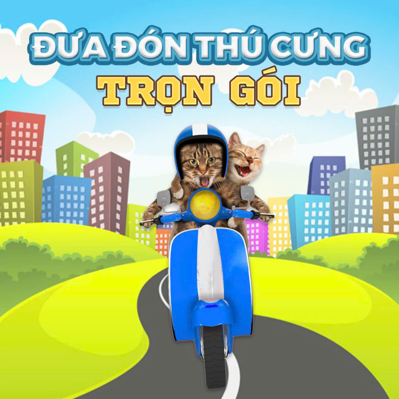 Dịch vụ đưa đón thú cưng tận nhà