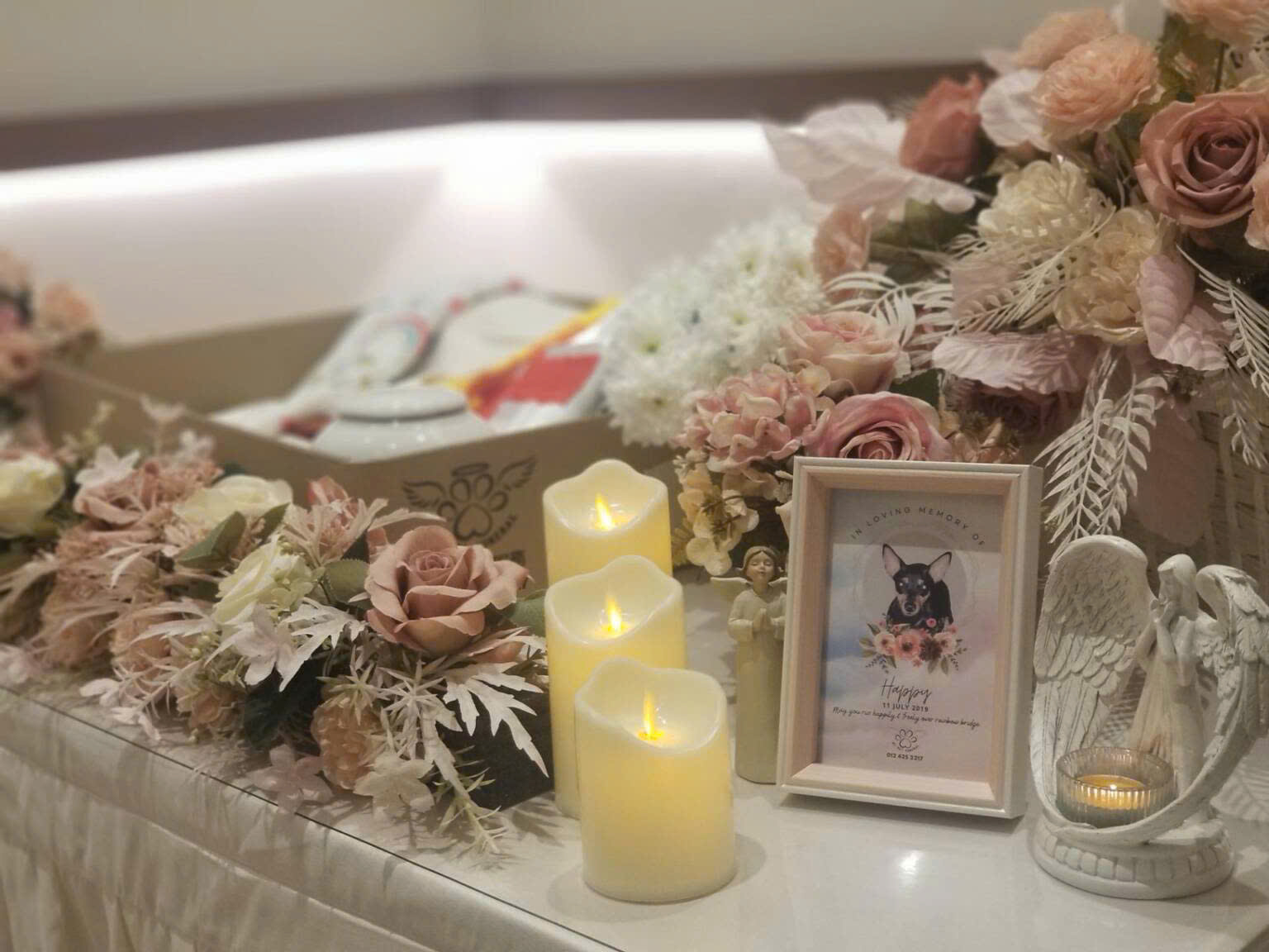 Tâm Tịnh Pet Cremation - Hình ảnh 1