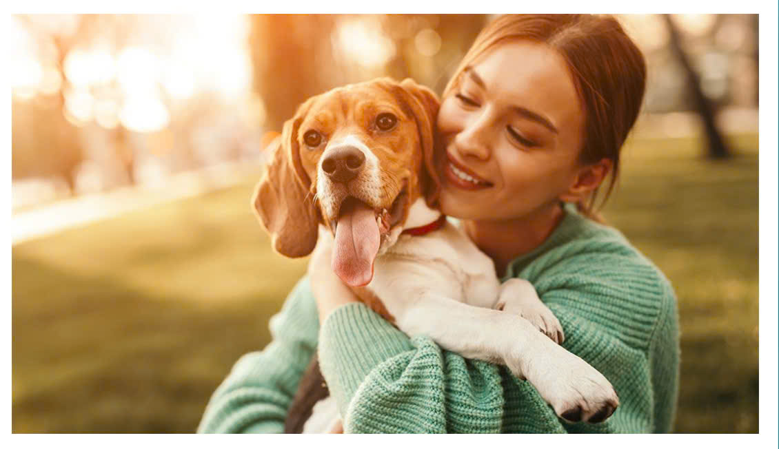 Tâm Tịnh Pet Cremation - Hình ảnh 2