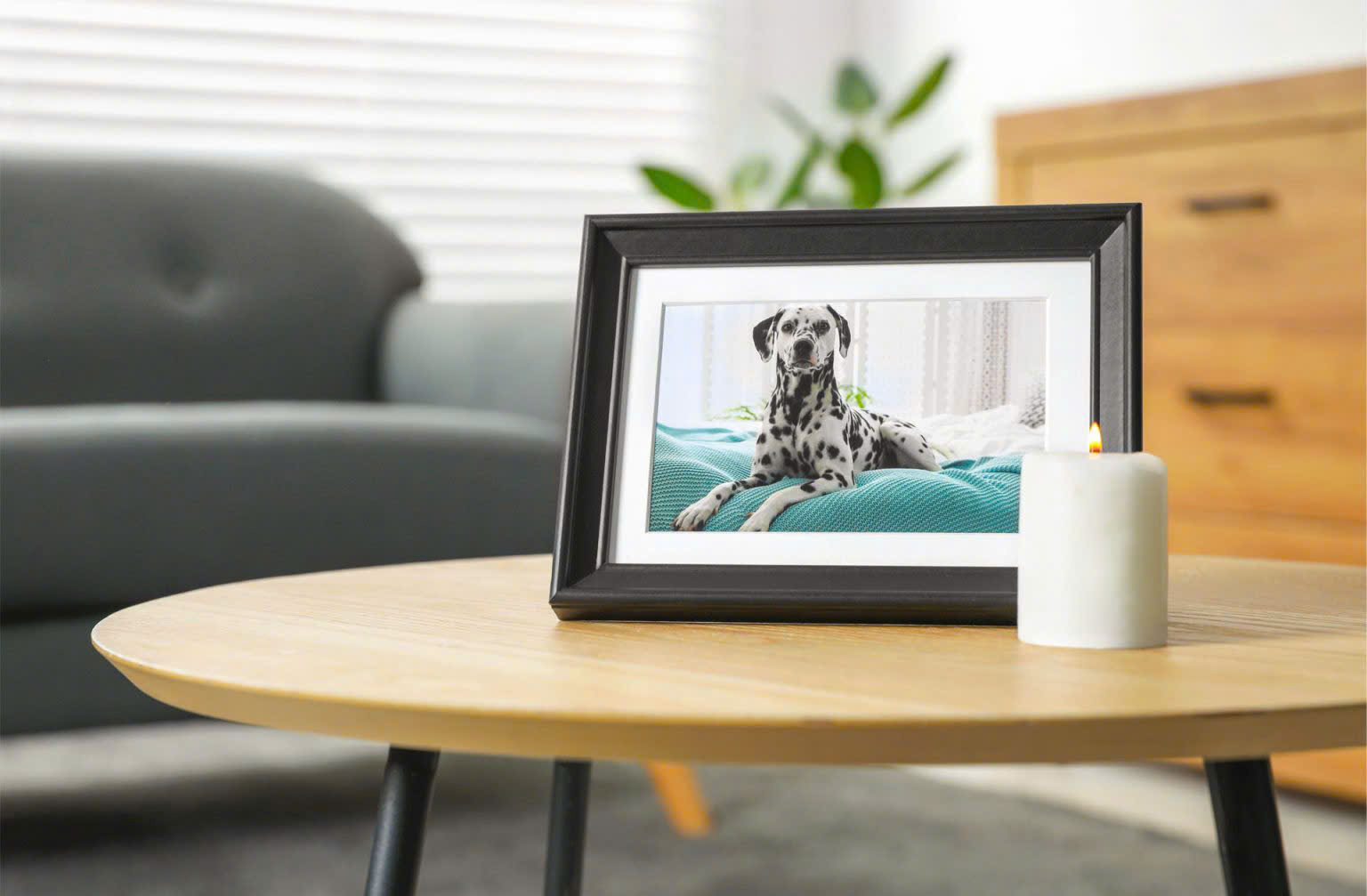 Tâm Tịnh Pet Cremation - Hình ảnh 3